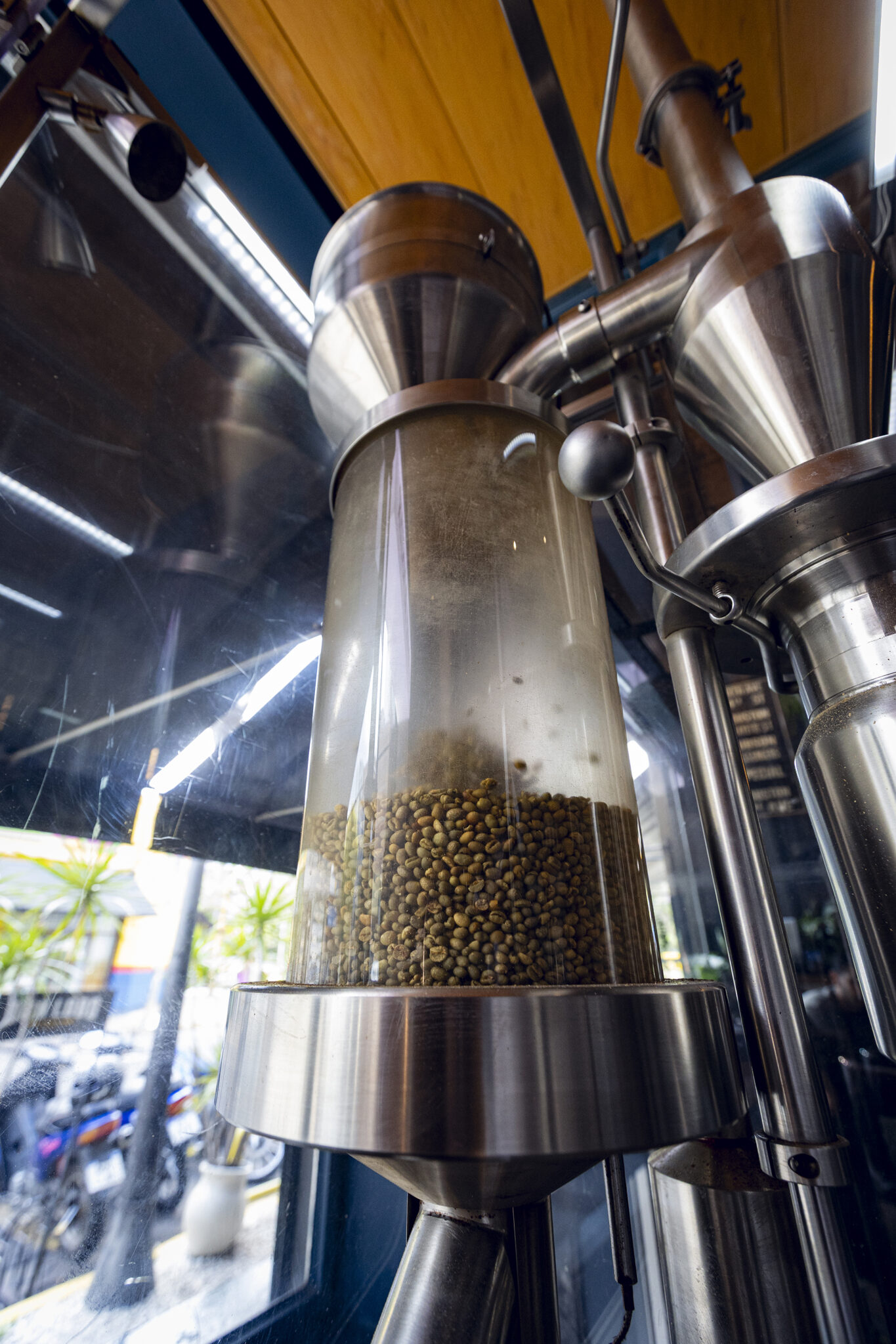 Tecnología de Tueste Lobo Negro