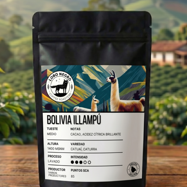 Bolivia illampu x250grs